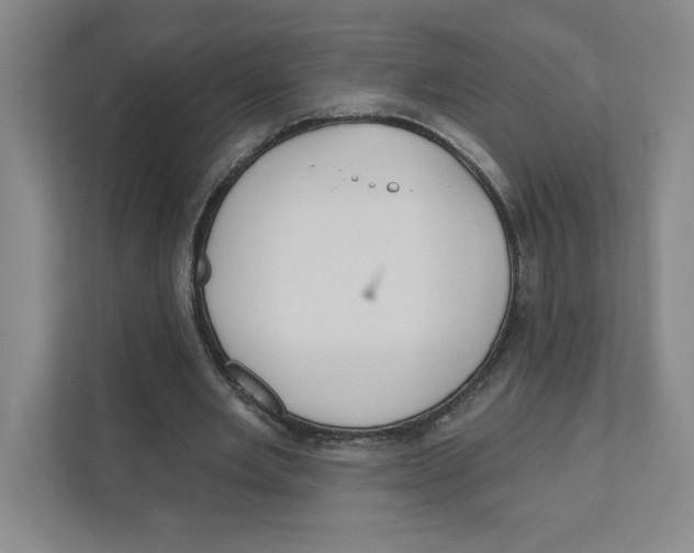 X0000111180485200907291146