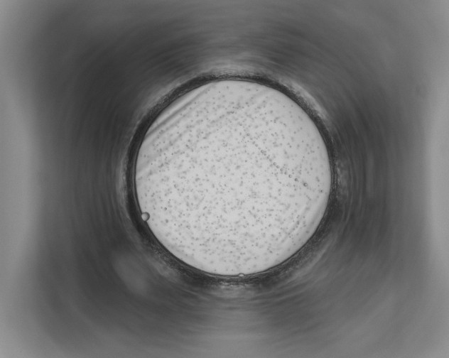 X0000111180487200907291146