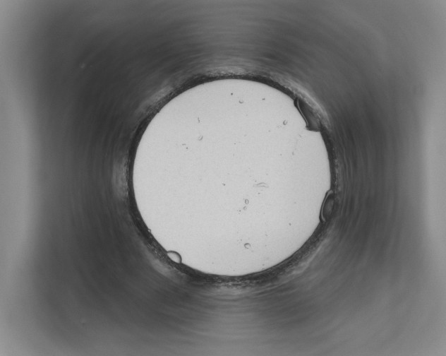 X0000111180489200907291146