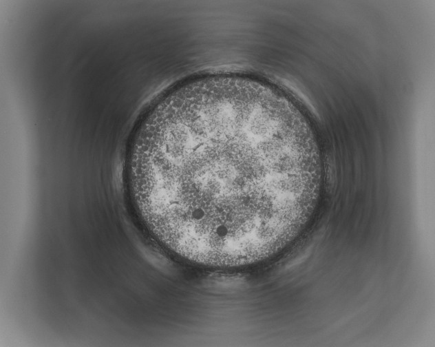 X0000111180491200907291146