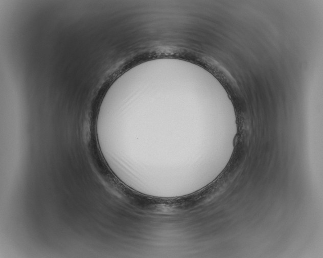 X0000111180496200907291146