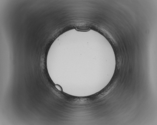 X0000111180497200907291146