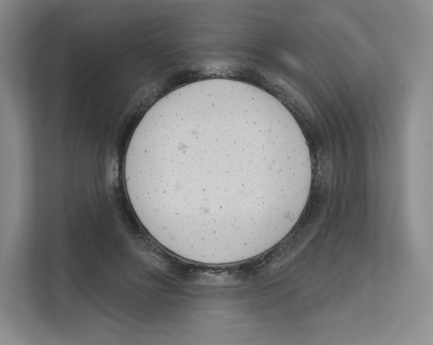 X0000111180502200907291146