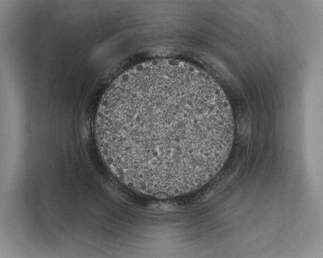 X0000111180503200907291146