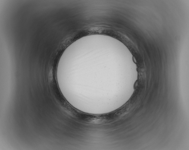 X0000111180504200907291146