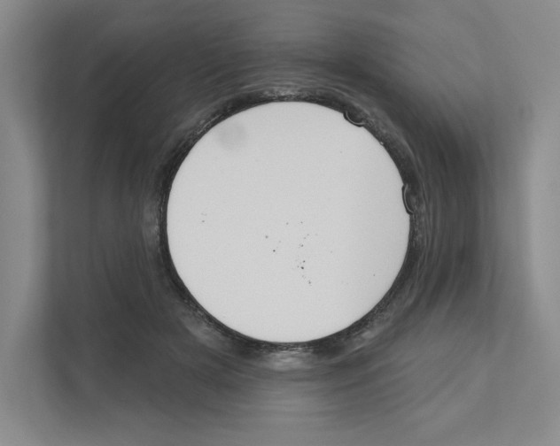 X0000111180505200907291146