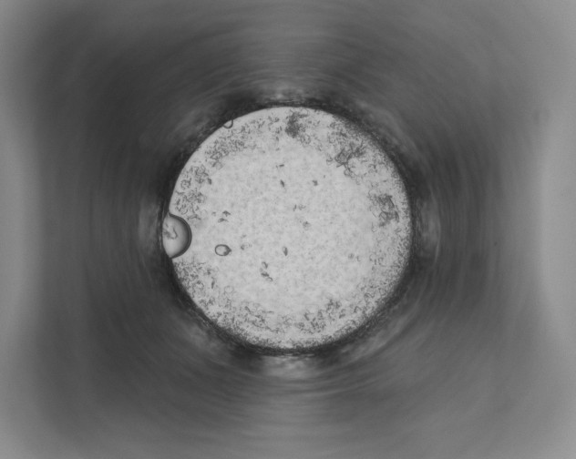 X0000111180511200907291146