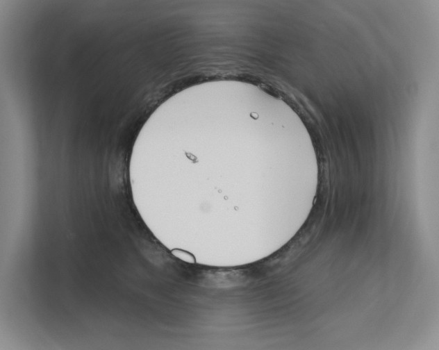 X0000111180517200907291146