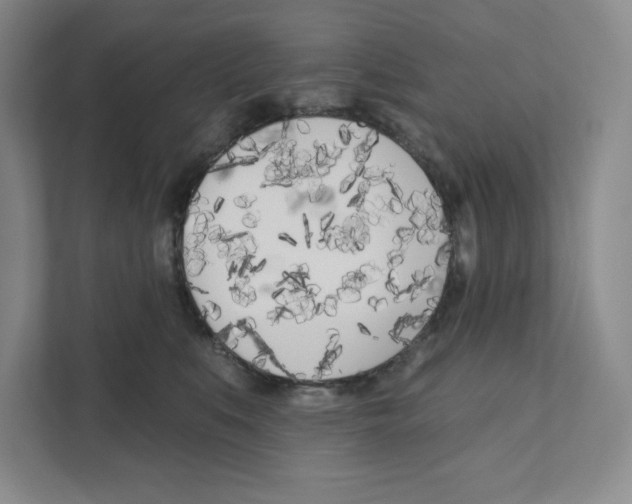 X0000111180519200907291146