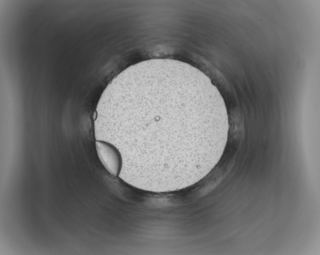 X0000111180523200907291146