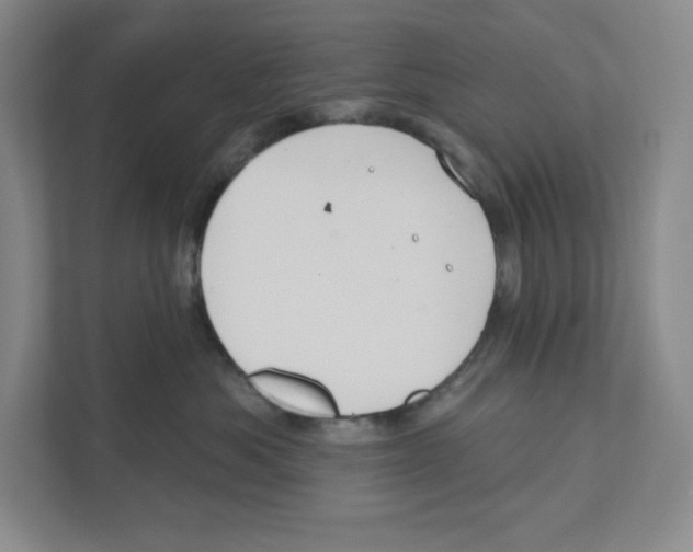 X0000111180525200907291146