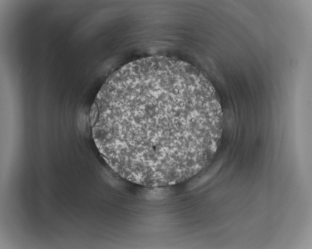 X0000111180527200907291146