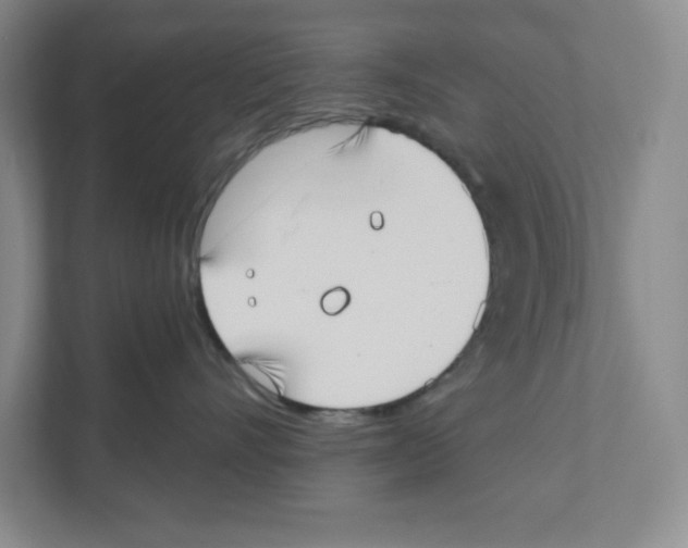 X0000111180528200907291146