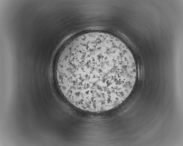 X0000111180531200907291145