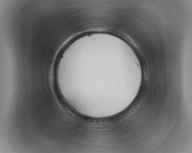 X0000111180532200907291145