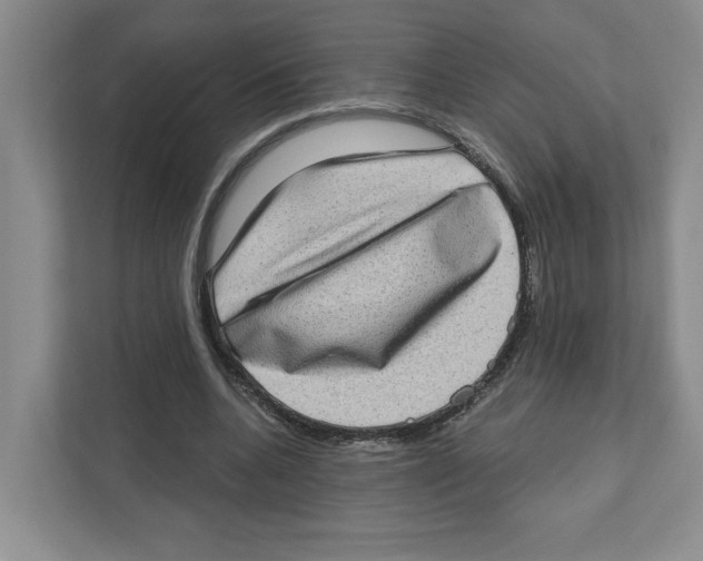 X0000111180536200907291145