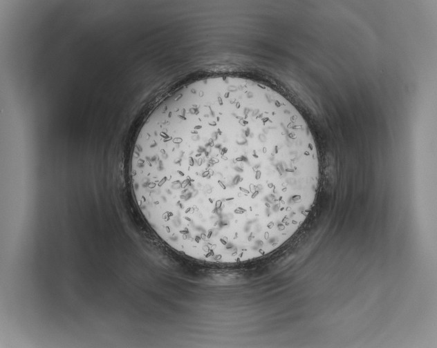 X0000111180547200907291145