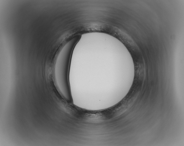 X0000111180548200907291145