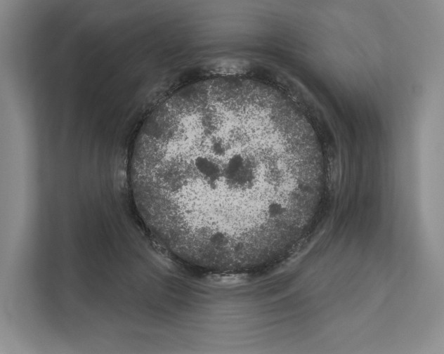 X0000111180553200907291145