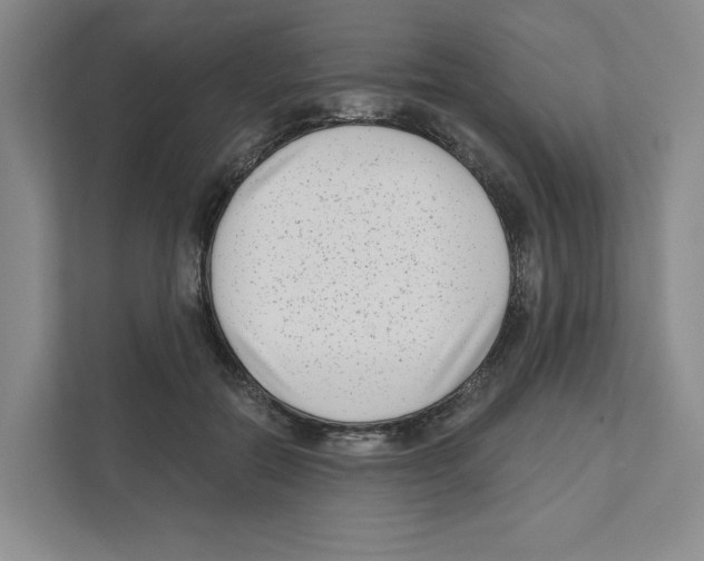 X0000111180554200907291145