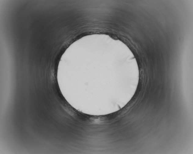 X0000111180564200907291145