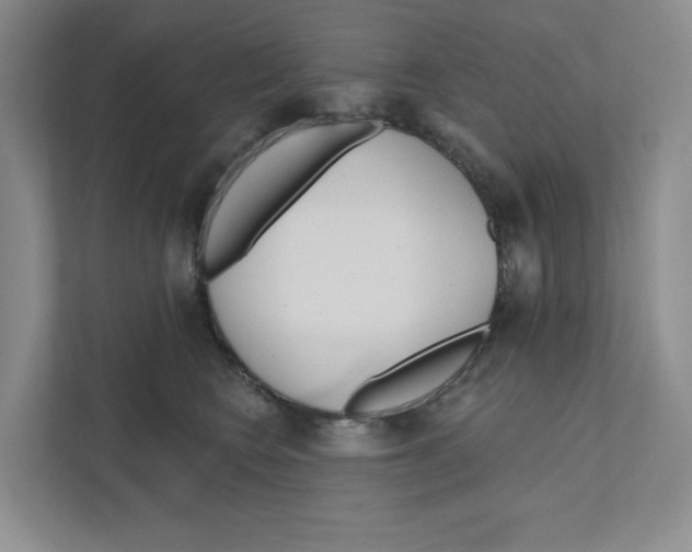 X0000111180566200907291145