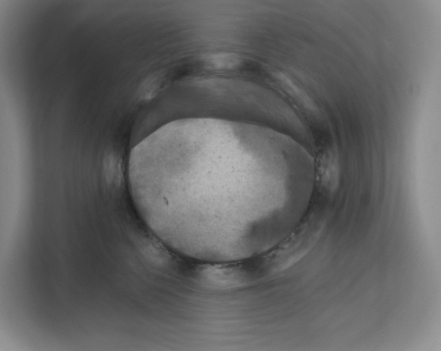 X0000111180568200907291146