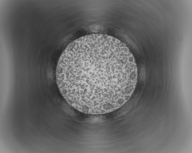 X0000111180569200907291146