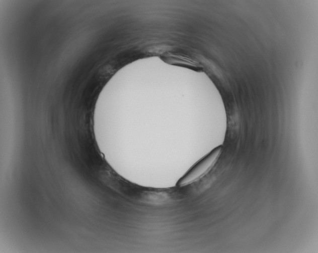 X0000111180572200907291146