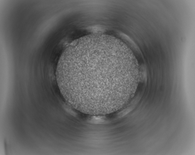 X0000111180573200907291146