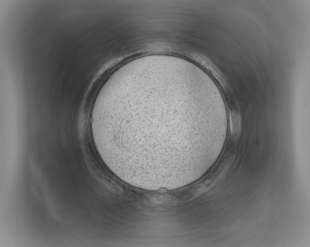 X0000111180579200907291145