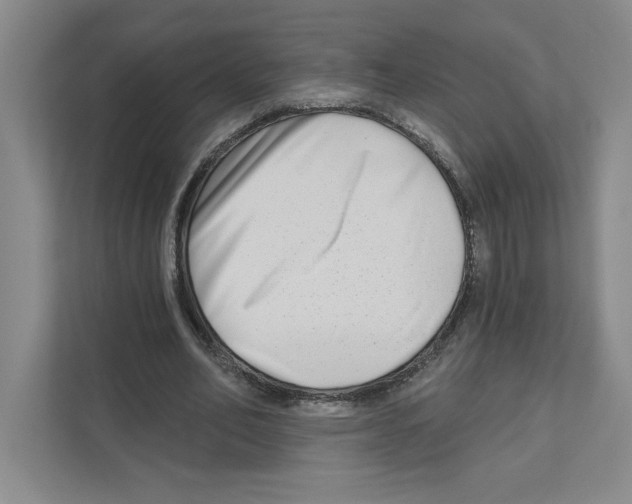 X0000111180582200907291145