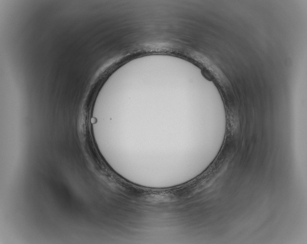 X0000111180583200907291145