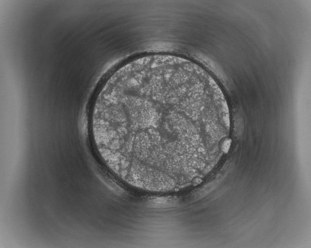 X0000111180584200907291145