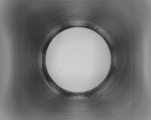 X0000111180586200907291145