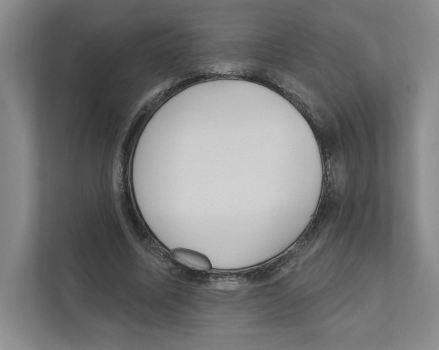 X0000111180587200907291145