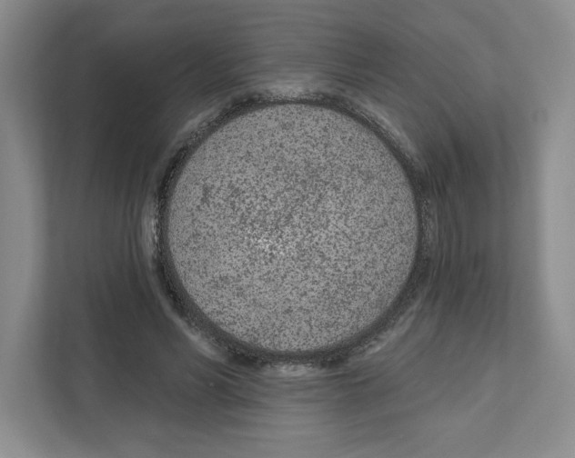 X0000111180590200907291145