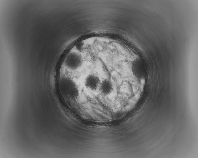 X0000111180592200907291145