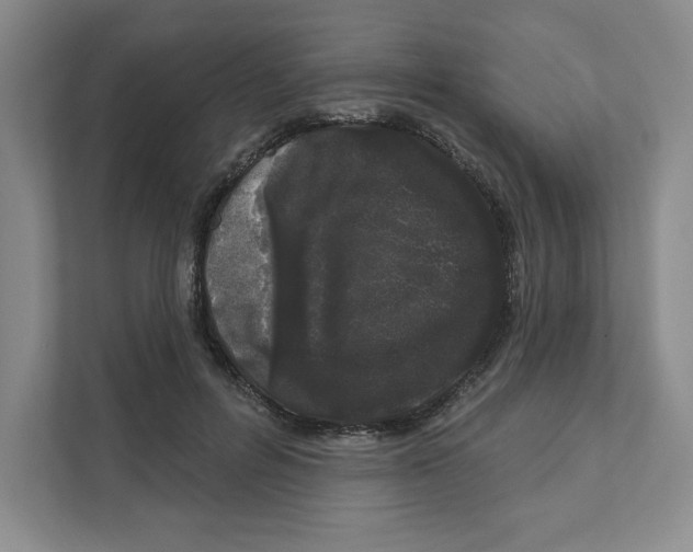 X0000111180600200907291145