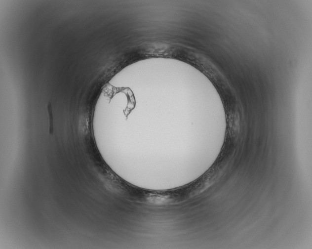 X0000111180602200907291145