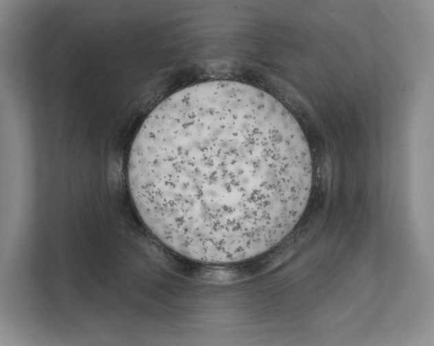 X0000111180610200907291145