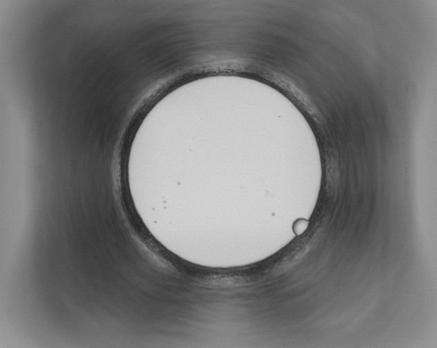 X0000111180629200907291144