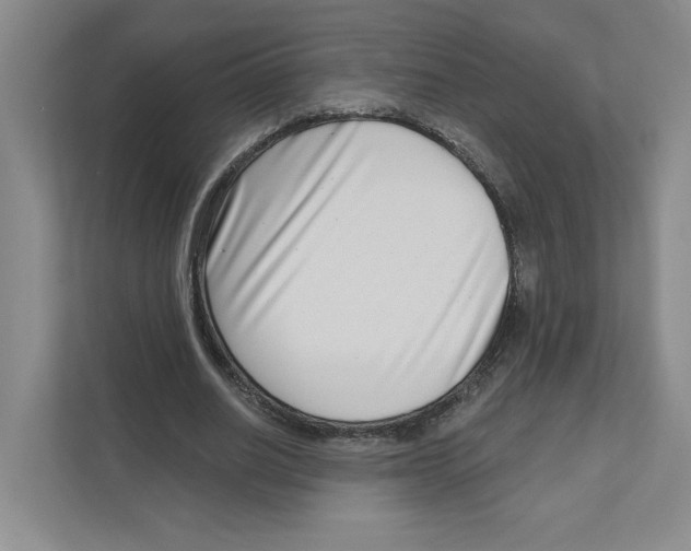 X0000111180630200907291144