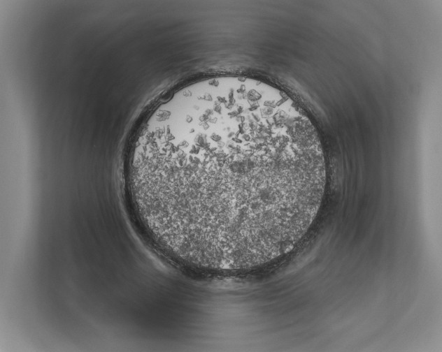 X0000111180634200907291144