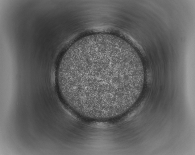 X0000111180637200907291144