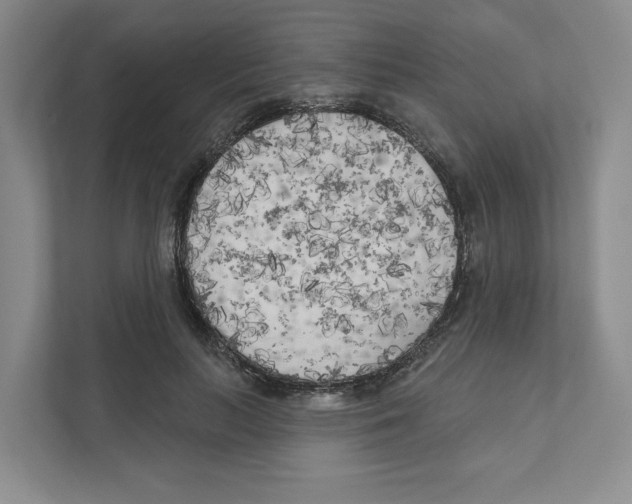 X0000111180647200907291144