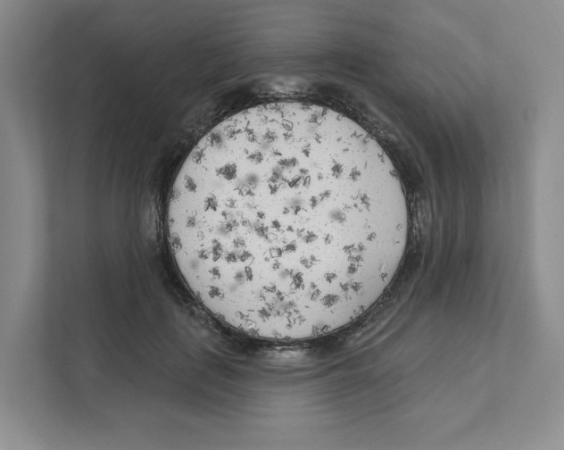 X0000111180651200907291144