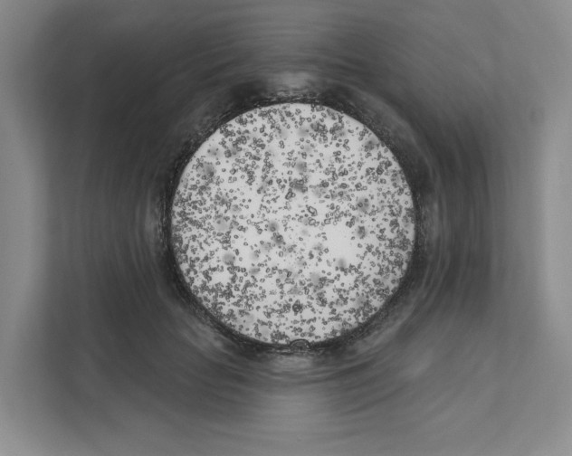 X0000111180653200907291144