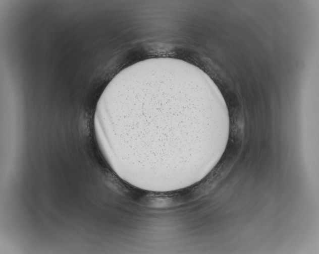 X0000111180658200907291144