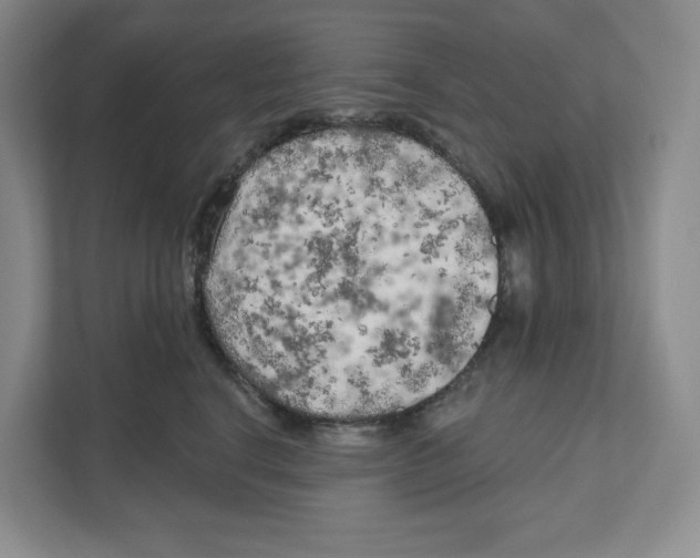 X0000111180664200907291144